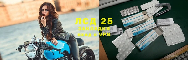 СК Семилуки