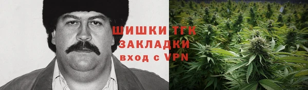 ГАЛЛЮЦИНОГЕННЫЕ ГРИБЫ Семёнов