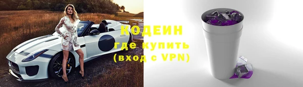 ГАЛЛЮЦИНОГЕННЫЕ ГРИБЫ Семёнов