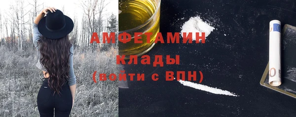 гидра Снежногорск
