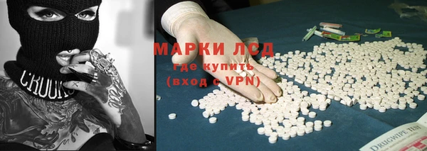 ГАЛЛЮЦИНОГЕННЫЕ ГРИБЫ Семёнов