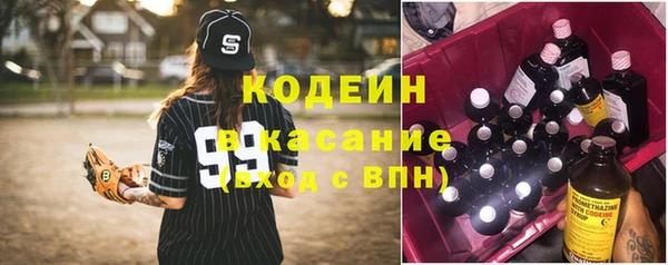гидра Снежногорск