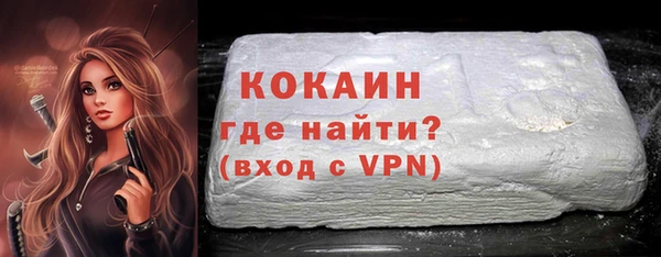 гидра Снежногорск
