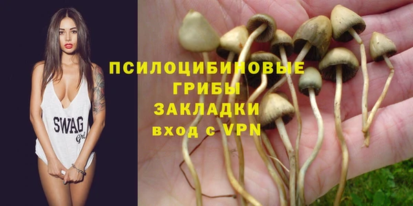 ГАЛЛЮЦИНОГЕННЫЕ ГРИБЫ Семёнов