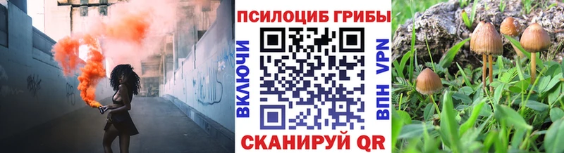 Псилоцибиновые грибы Cubensis  Купить  Татарск 